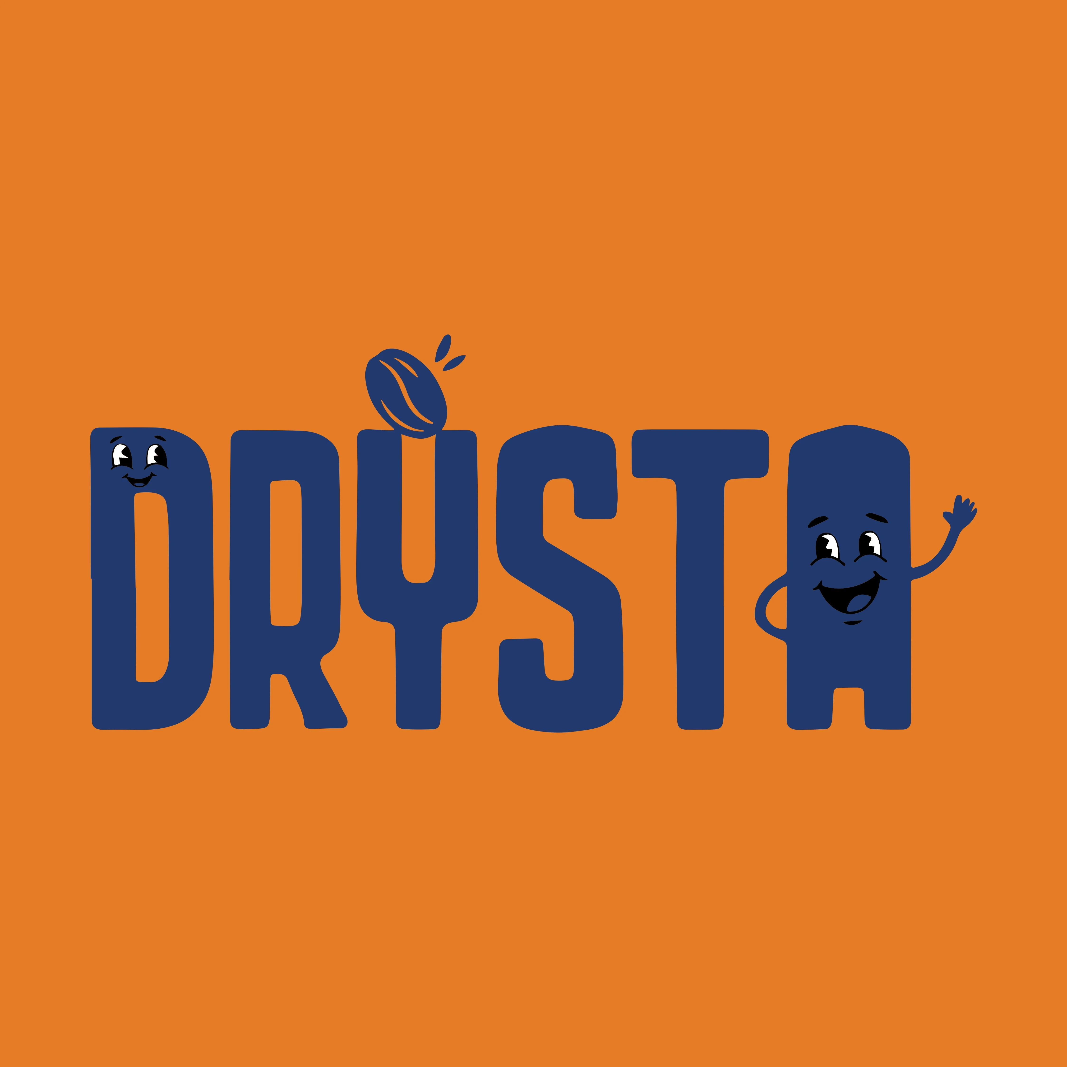 Draysta modern brand logo design