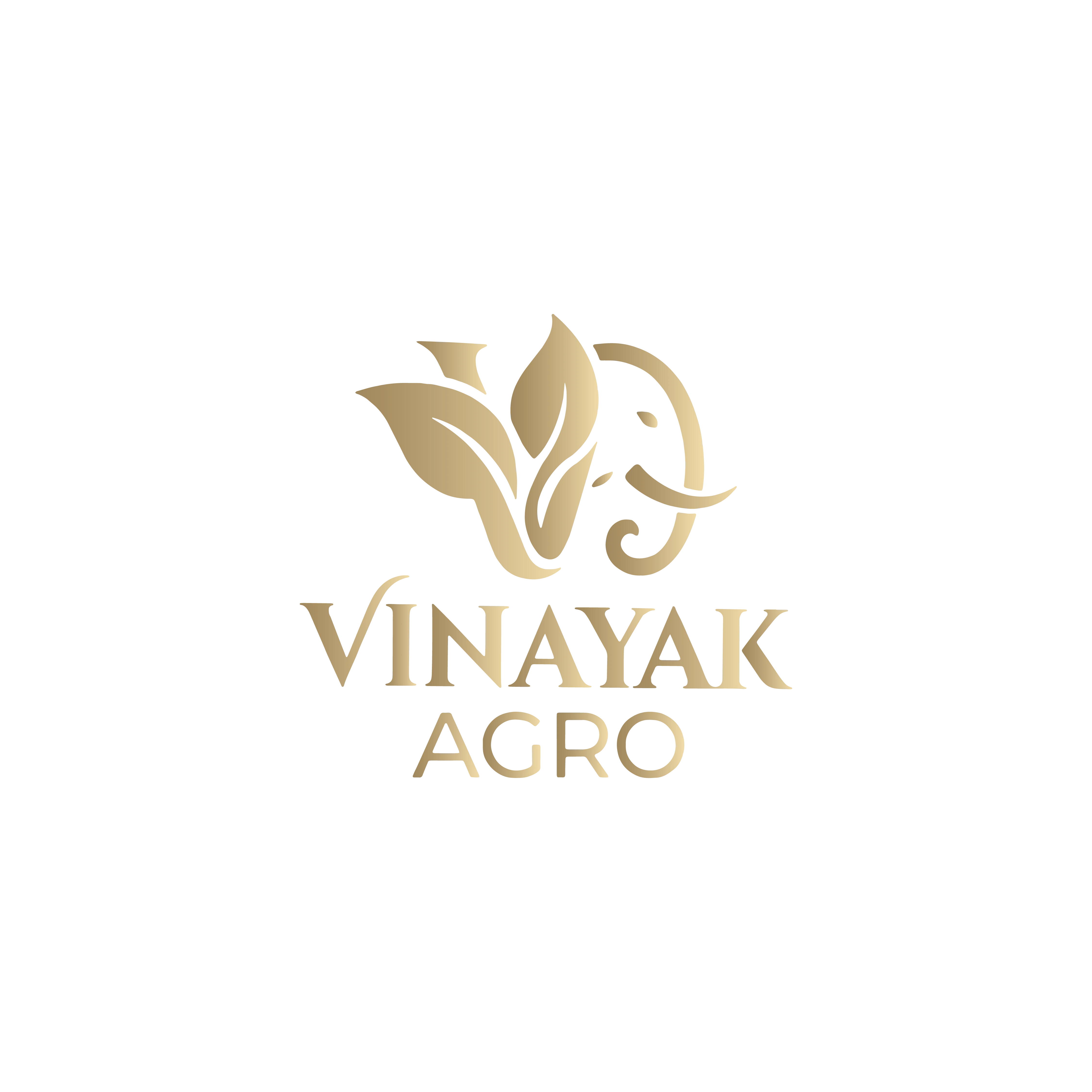 Vinayak Agro logo